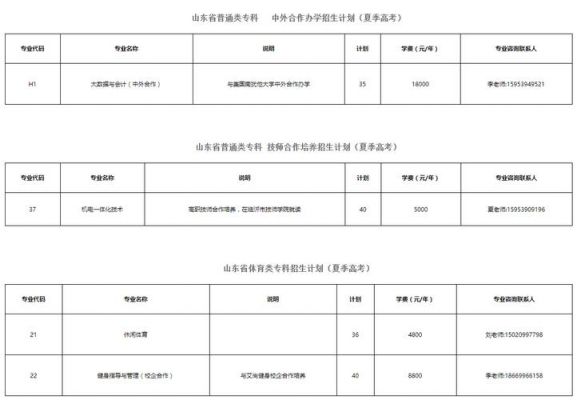 临沂职业学院官网录取分数（临沂职业学院录取线）-图2