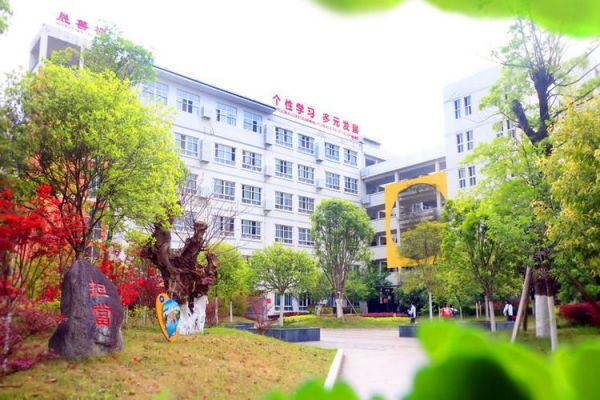 广元有哪些民办学校（广元民办大学）-图3