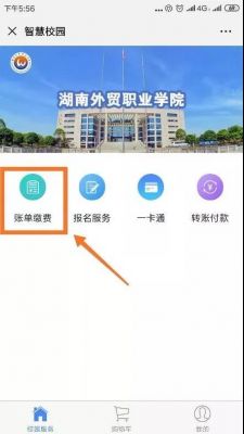 湖南外贸职业学院系统（湖南外贸职业学院系统登录）