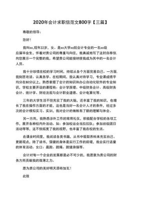 应聘会计范文（应聘会计怎么写）-图3