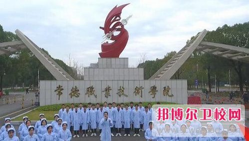 常德市大专学校（常德市大专学校有几所）-图3