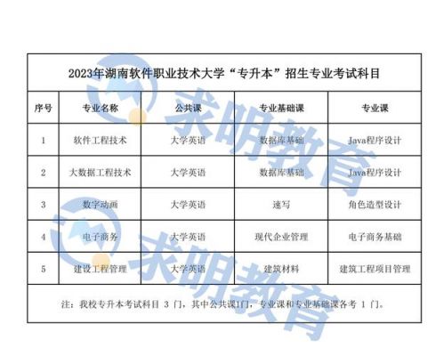 湖南软件职业学院升几本（湖南软件职业学院怎样）-图3