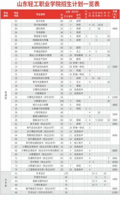 山东轻工职业学院专升本吗（山东轻工业学院专科）-图2