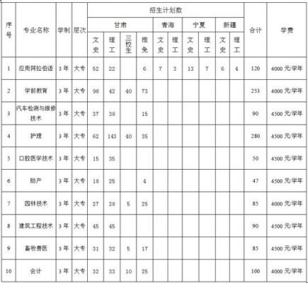 临夏现代职业学院报名申请（临夏现代职业学院招生对象）-图3