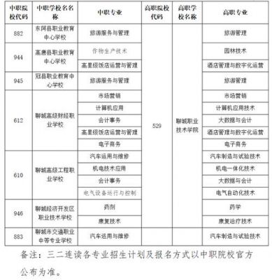 聊城职业学院报考了多少人（聊城职业技术学院2021年明年招生）-图2