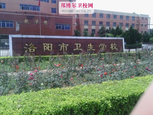 洛阳市卫生学校招聘（洛阳市卫生学校招聘老师）