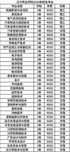 辽宁职业学院主打专业（辽宁职业学院主打专业是什么）-图1