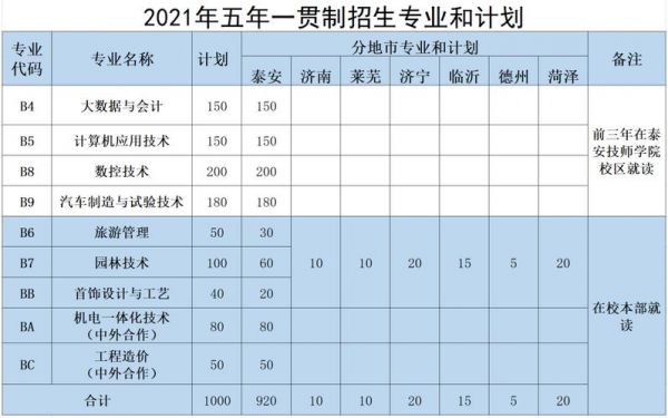 泰山职业学院招生网（泰山职业技术学院招生计划）-图3