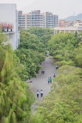 淡水崇雅学校（淡水崇雅学校会打电话招优秀学生吗）-图3