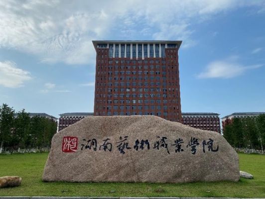 湖南艺术职业学院网址（湖南艺术职业学院联系方式）-图2