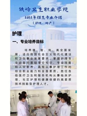 铁岭卫生职业学院智慧迎新app（铁岭卫生职业学院公众号）-图2