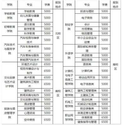 武汉职业学院学费是多少钱（武汉职业技术学院学费多少钱）-图3