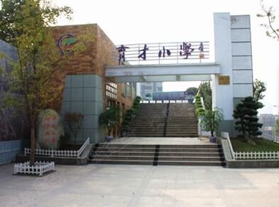 大渡口学校排名（大渡口最好的学校）-图3