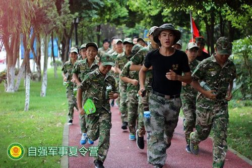 神农架职业学院（神农架cs培训）-图1