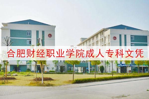 合肥财经职业学院成教院（合肥财经职业学院成人教育）-图2