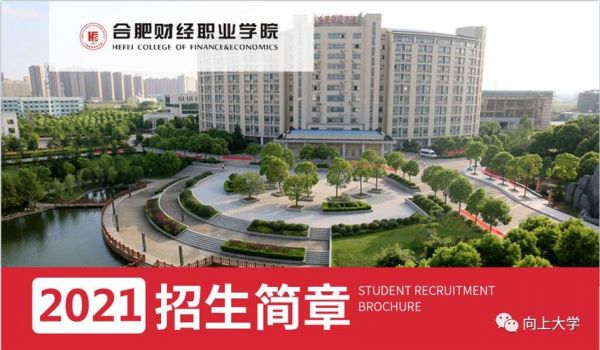 合肥财经职业学院成教院（合肥财经职业学院成人教育）-图3