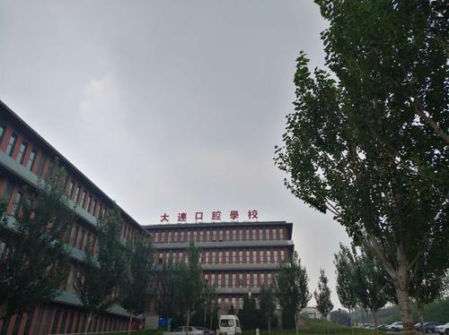 大连口腔义齿职业学院（大连口腔义齿职业技术学校怎么样）-图2