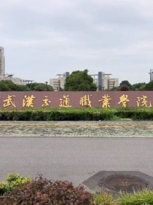 武汉市交通职业学院9项（武汉交通职业学院院系）-图3