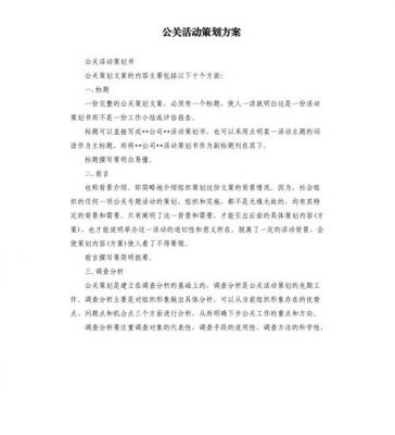 公关策划案范文（公关策划案范文2000字）-图1