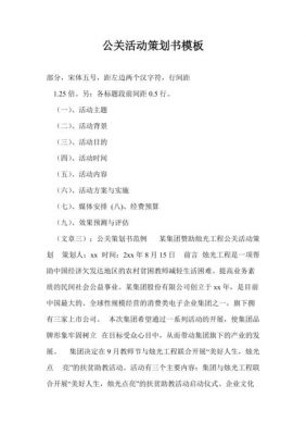 公关策划案范文（公关策划案范文2000字）-图3