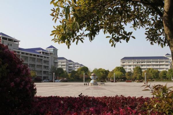 岳阳职业学院校内风景（岳阳职业学院校内风景图片）-图3