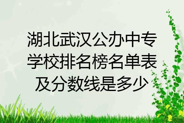 湖北一年制中专学校（湖北一年制中专学校排名榜）