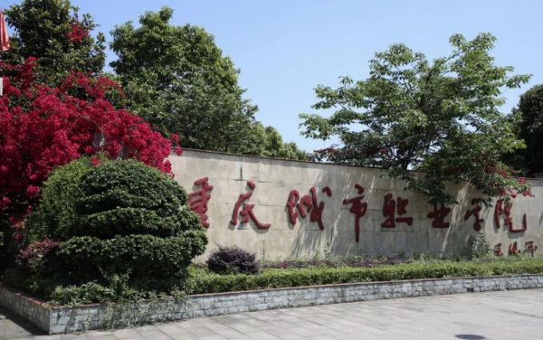 重庆城市职业学院大小（重庆城市职业学院大小面积多大）