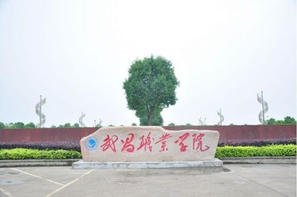 武昌职业学院学院（武昌职业学院学院代号）-图3