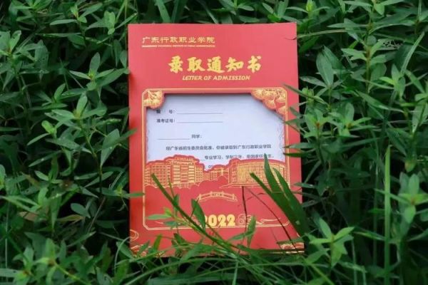 潍坊工商职业学院投档线（潍坊工商职业学院2020年录取通知书）-图3