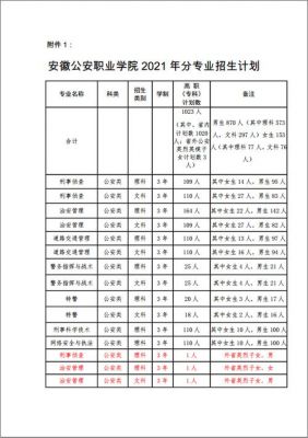 安徽公安职业学院入学面试（安徽公安职业学院入学面试时间）-图1