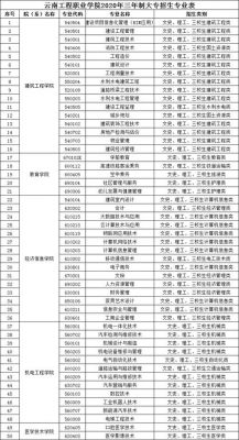 云南工程职业学院专业类型（云南工程职业学院热门专业）-图1