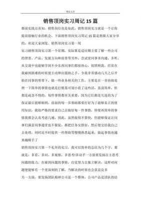 销售实习周志范文（销售实习周记）-图2