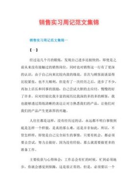 销售实习周志范文（销售实习周记）-图3