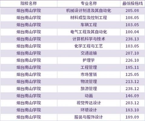 包含烟台南山职业学院护理专业的词条-图2