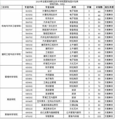 合肥滨湖职业学院专业（合肥滨湖职业技术学院专业代码）-图2