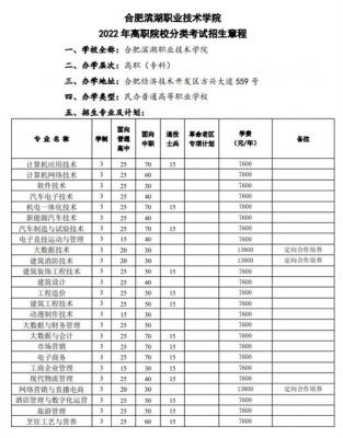 合肥滨湖职业学院专业（合肥滨湖职业技术学院专业代码）-图3