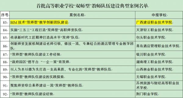 职业学院教师梯队建设规划（职业院校教师队伍建设）-图2