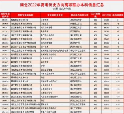 高职学校联办本科（高职院校联办本科的高职高专专业）