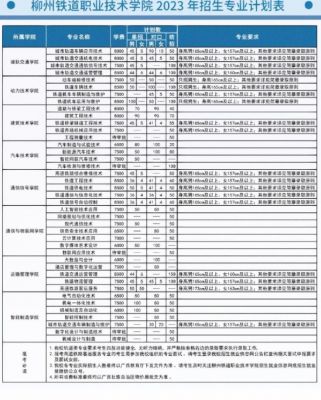 柳州铁路学校分数线（柳州铁道学院2020年分数线）-图2