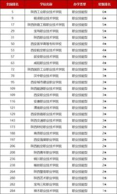 陕西好的民办职业学院（陕西好的民办职业学院排名）-图1