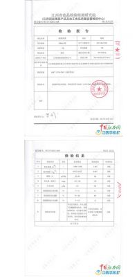 检查报告范文（公司安全检查报告范文）-图3