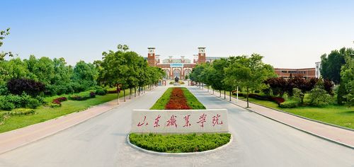 山东职业学院全景图（山东职业技术学院图片）-图1