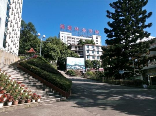 通报林业职业学院（林业职业技术学院在哪里）-图3