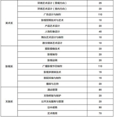 湖南艺术职业学院成人高考（湖南艺术职业学院继续教育学院招生简章）-图2