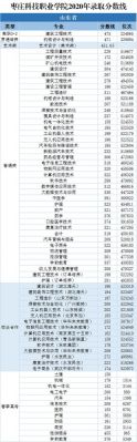 枣庄科技职业学院春考招生（枣庄科技职业学院春季高考）-图3