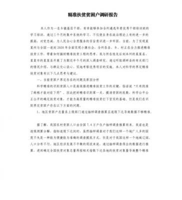 扶贫调研报告范文（扶贫工作调查报告范文3000字）-图3