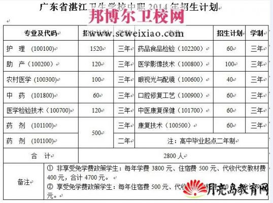 湛江卫生学校成绩（湛江卫校成绩查询网址）-图2