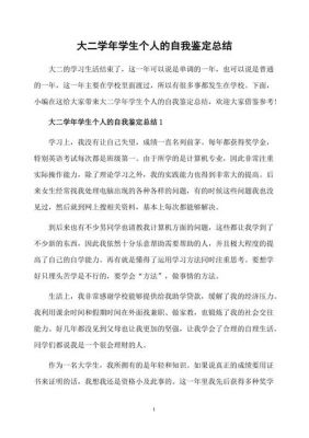 大二学年自我总结范文（大学生大二学年总结自我鉴定）-图1