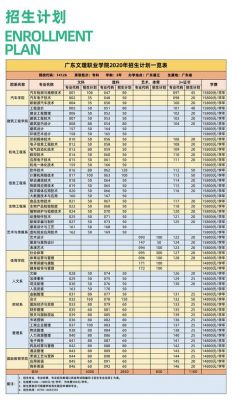 广东文理职业学院限制（广东文理职业学院全国招生吗）-图2