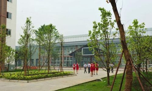 四川的旅游职业学院（四川旅游职业学院地址）-图3